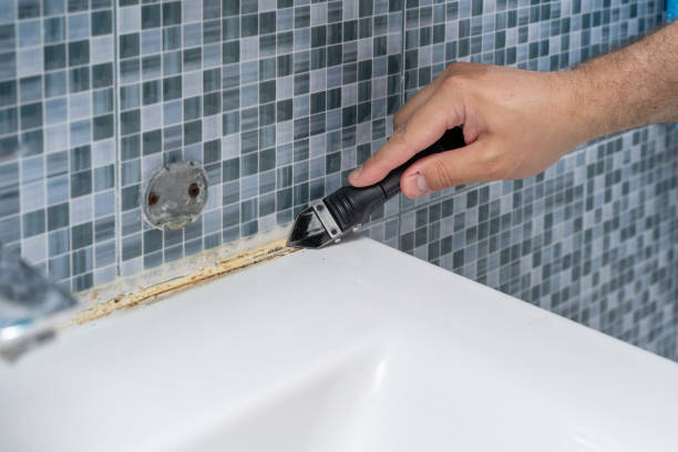 Best Mold Cleaning Services  in Seymour, TN
