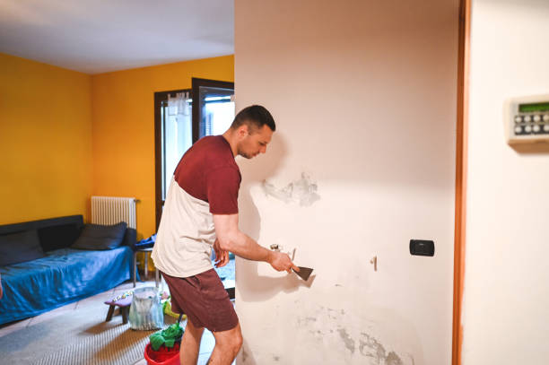 Best Mold Remediation  in Seymour, TN